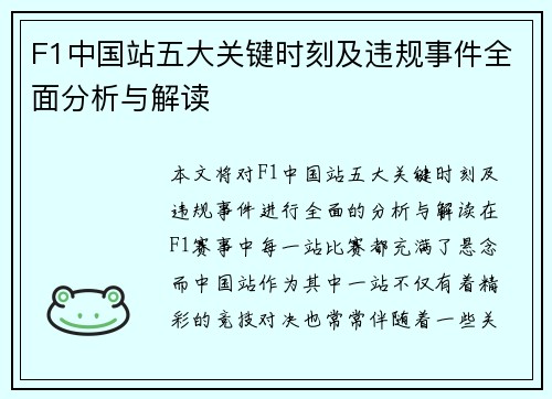 F1中国站五大关键时刻及违规事件全面分析与解读