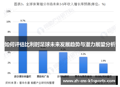 如何评估比利时足球未来发展趋势与潜力展望分析