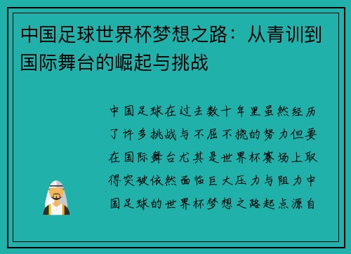中国足球世界杯梦想之路：从青训到国际舞台的崛起与挑战