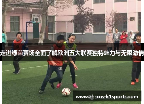 走进绿茵赛场全面了解欧洲五大联赛独特魅力与无限激情