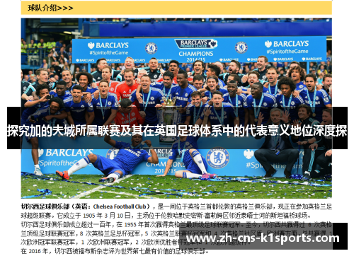 探究加的夫城所属联赛及其在英国足球体系中的代表意义地位深度探 探究加的夫城所属联赛及其在英国足球体系中的代表意义地位深度探